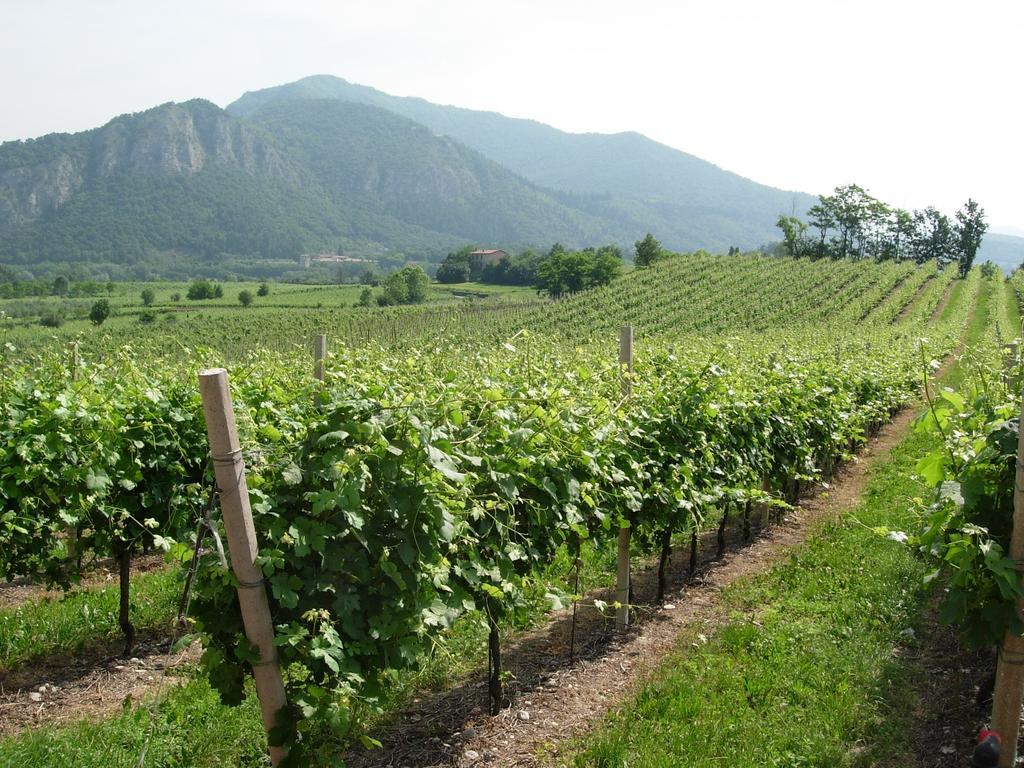 B&B Aria Di Lago Paratico Εξωτερικό φωτογραφία